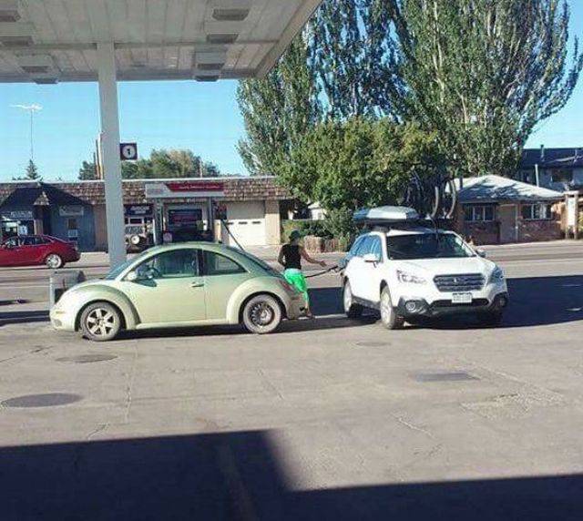Daily Picdump