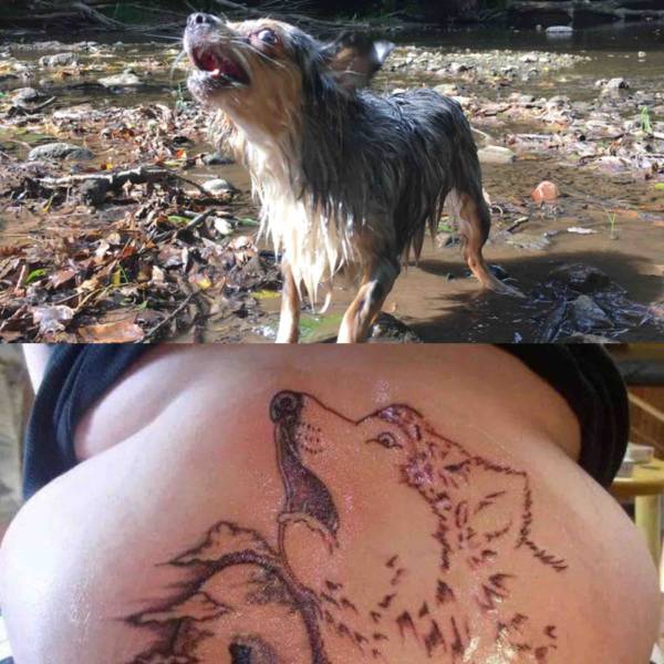 Daily Picdump