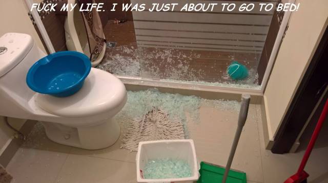 Daily Picdump