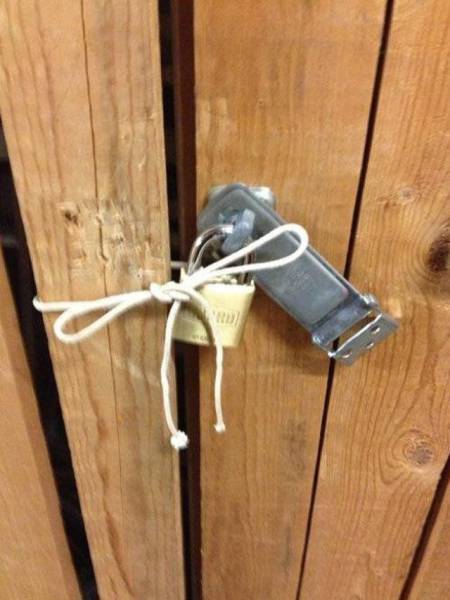 Morning Picdump