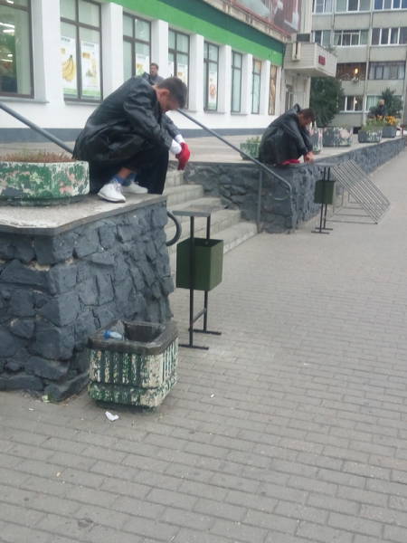 Morning Picdump