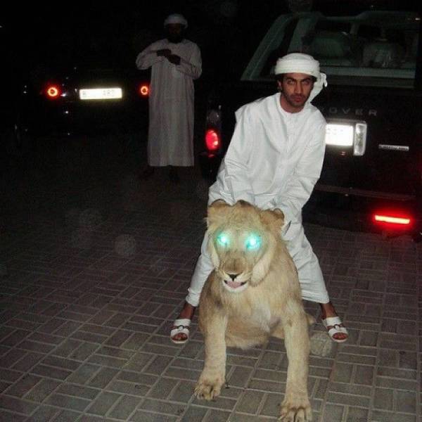 Daily Picdump