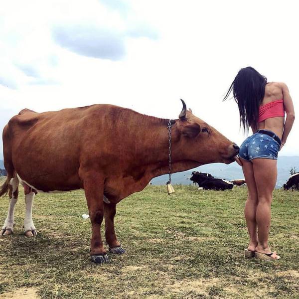 Morning Picdump