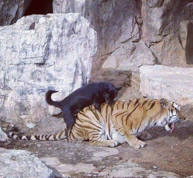 Morning Picdump