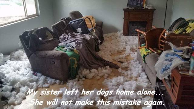 Daily Picdump