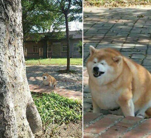 Morning Picdump
