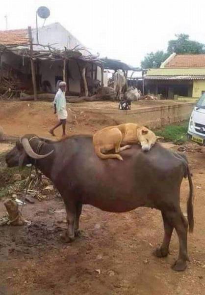 Daily Picdump