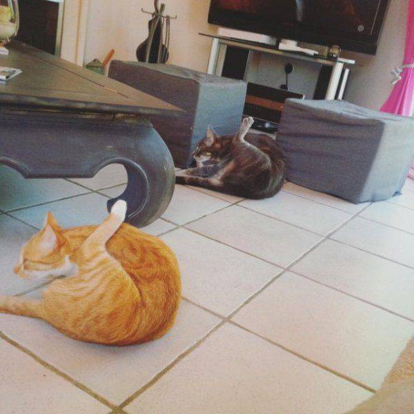 Daily Picdump