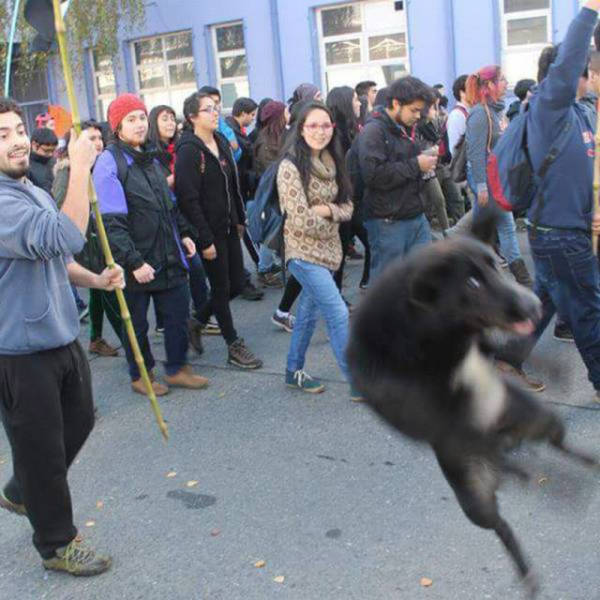 Daily Picdump