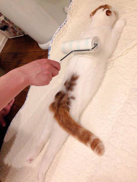 Daily Picdump