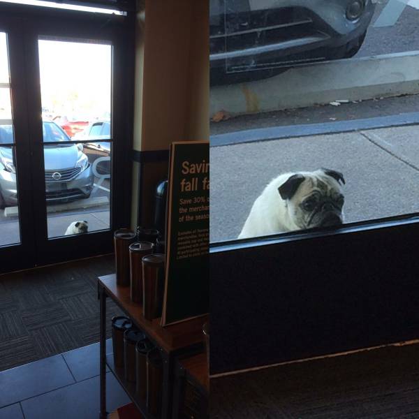 Daily Picdump