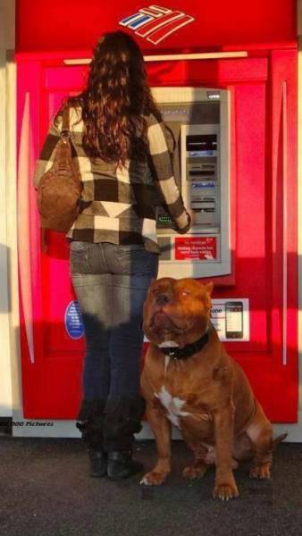 Daily Picdump