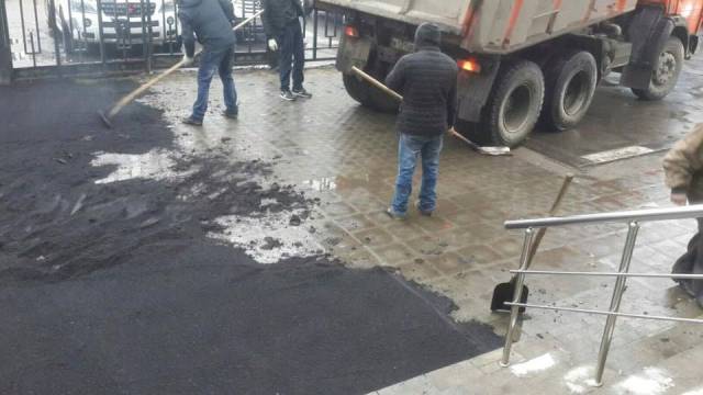 Daily Picdump