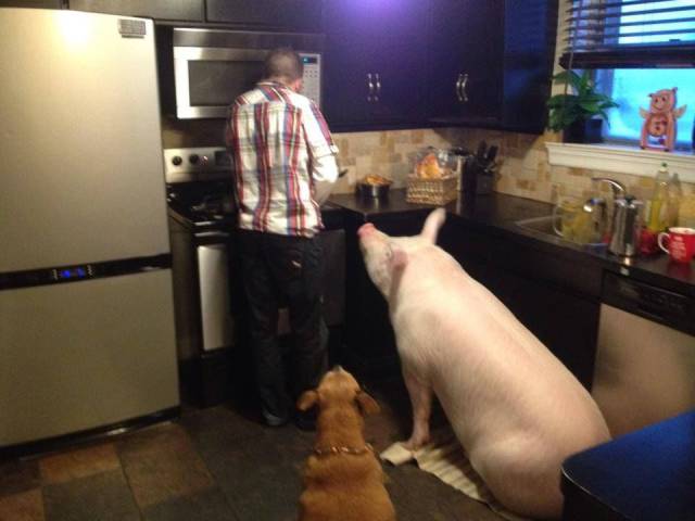 Daily Picdump
