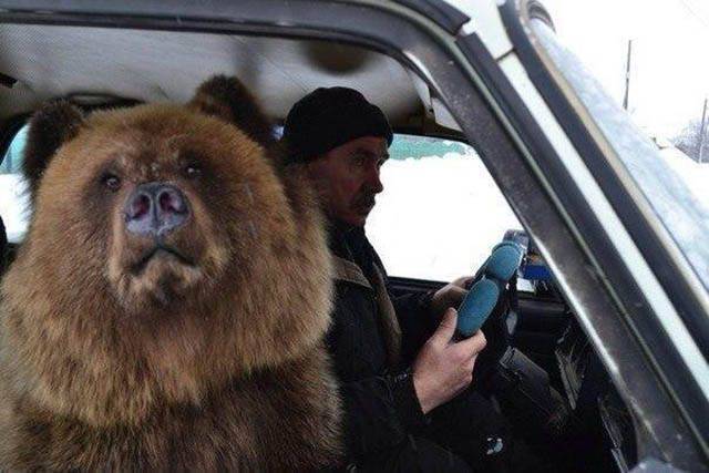 Daily Picdump