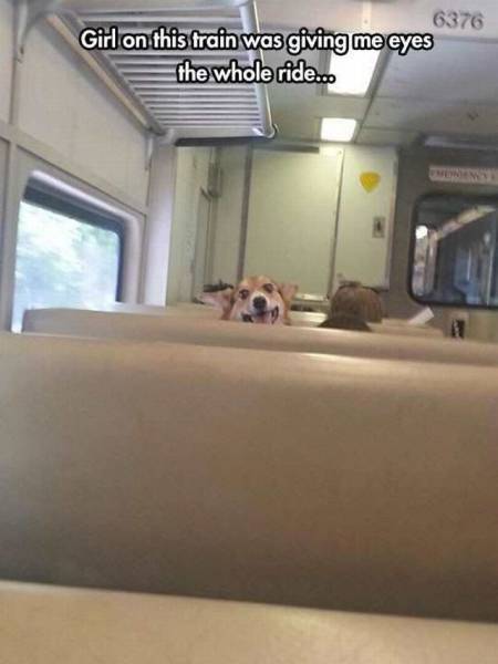 Daily Picdump