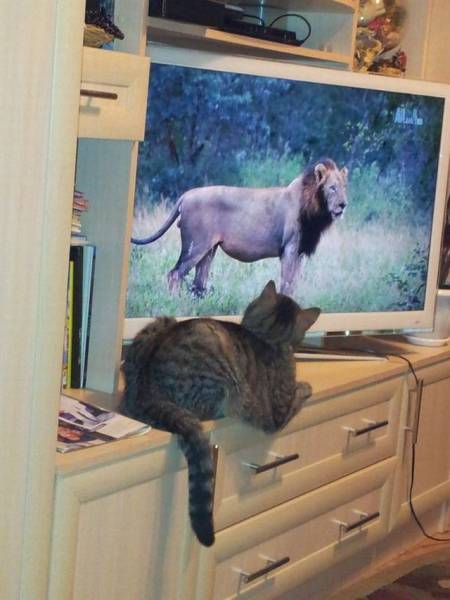 Daily Picdump