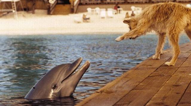 Daily Picdump