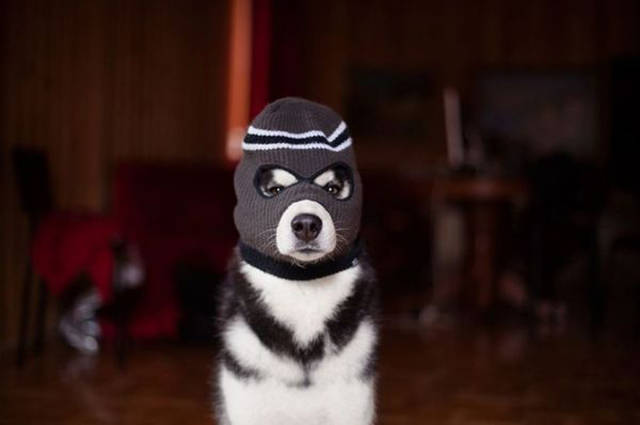 Morning Picdump