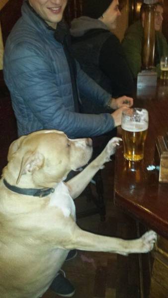 Daily Picdump