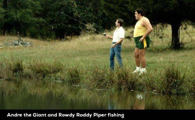 Daily Picdump
