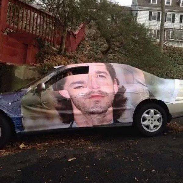 Daily Picdump