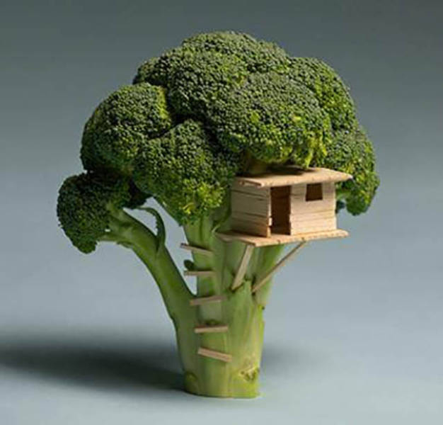 Morning Picdump
