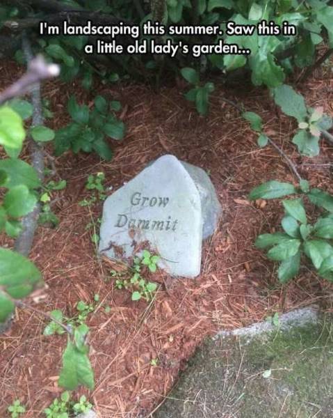 Daily Picdump