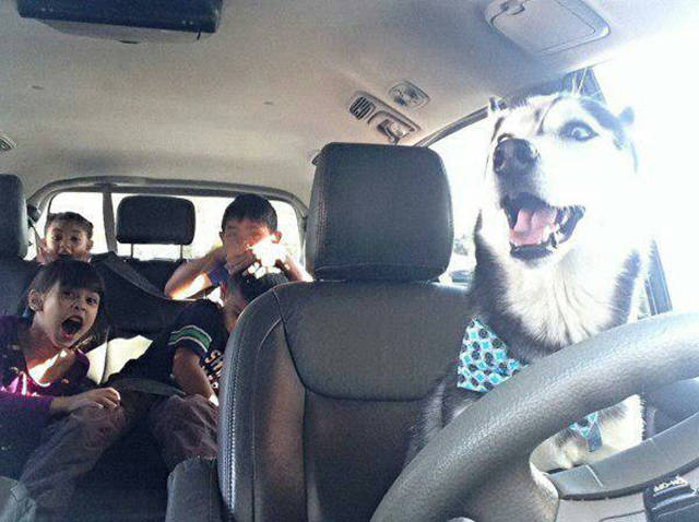 Morning Picdump