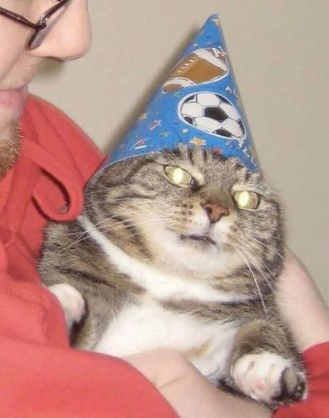 Daily Picdump