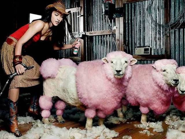 Daily Picdump