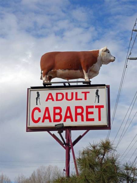 Daily Picdump