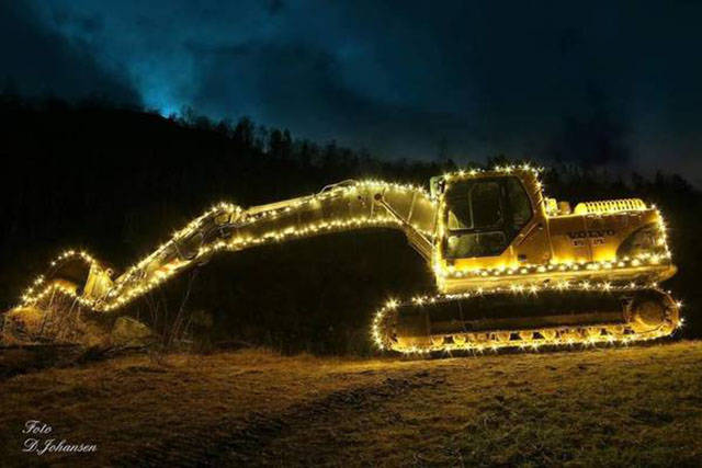 Morning Picdump