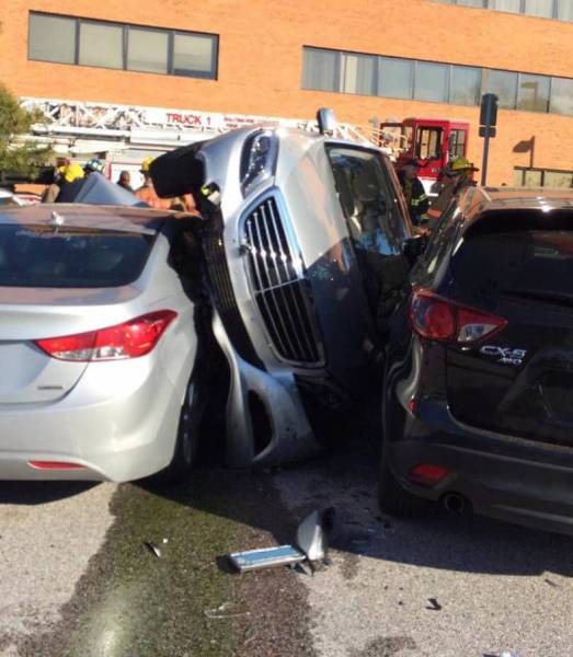 Daily Picdump [WEEKEND EDITION]