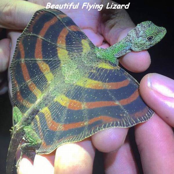 Daily Picdump [WEEKEND EDITION]