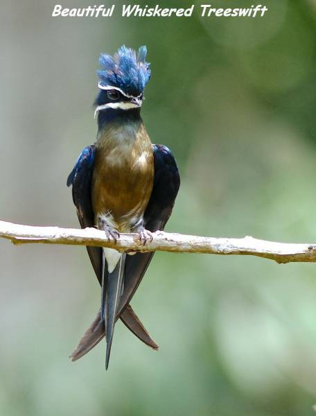 Daily Picdump [WEEKEND EDITION]