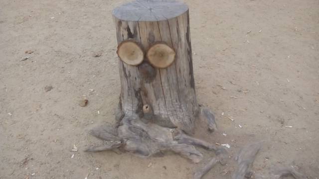 Daily Picdump [WEEKEND EDITION]