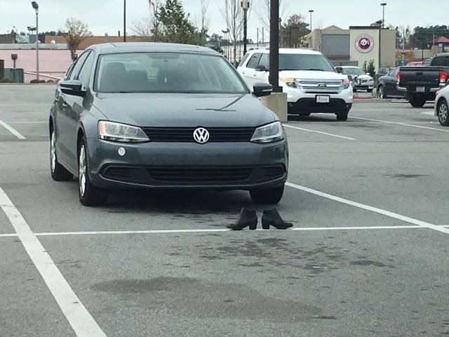 Morning Picdump