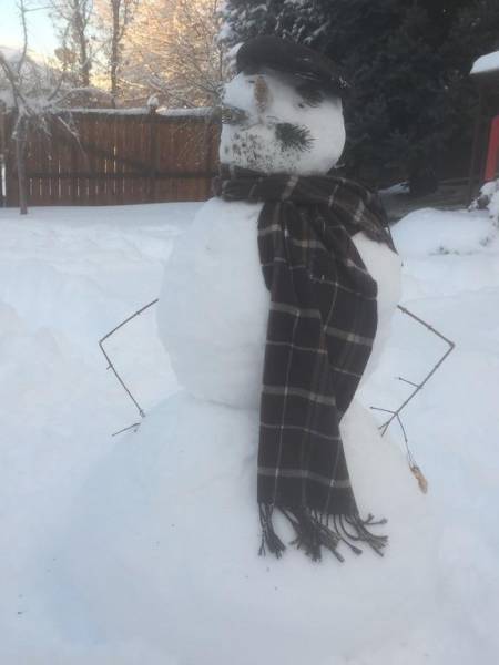 Morning Picdump