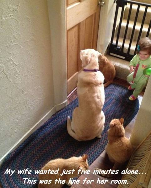 Morning Picdump
