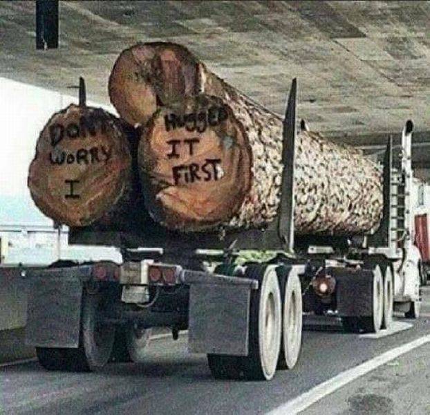Daily Picdump [WEEKEND EDITION]