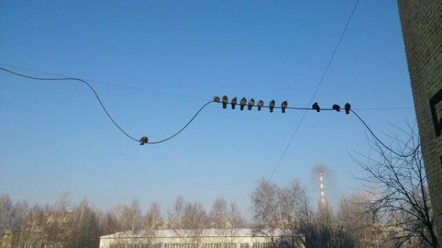 Daily Picdump [WEEKEND EDITION]