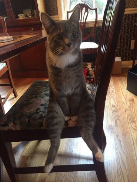 Daily Picdump [WEEKEND EDITION]