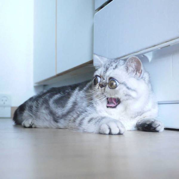 Morning Picdump