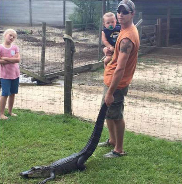 Morning Picdump