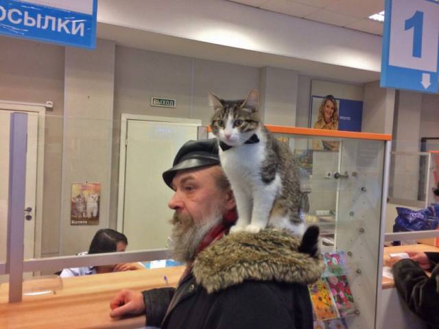Daily Picdump