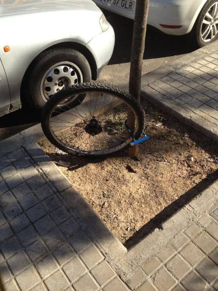 Daily Picdump