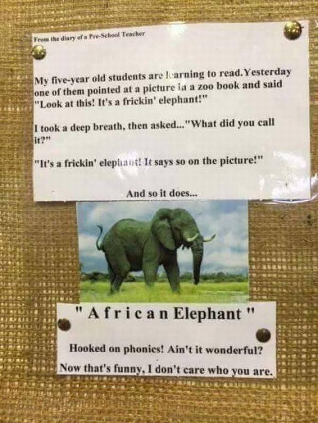 Daily Picdump
