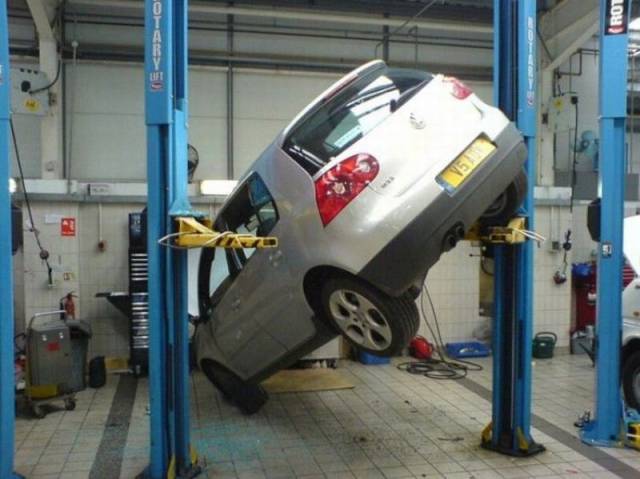 Daily Picdump