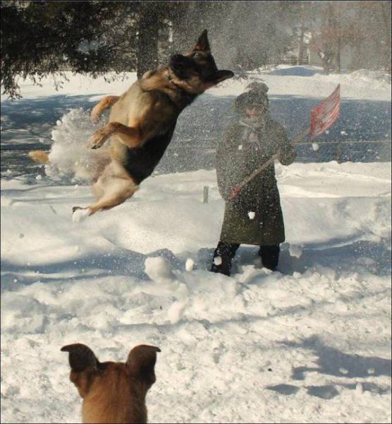 Daily Picdump